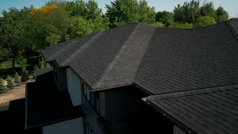 Best Roof Coating and Sealing  in Pleasureville, KY