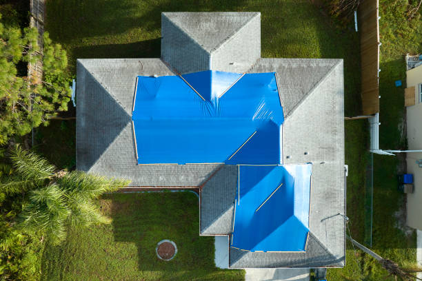 Best Slate Roofing  in Pleasureville, KY