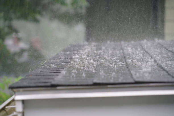Best Gutter Installation and Repair  in Pleasureville, KY