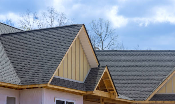 Roof Coating Services in Pleasureville, KY