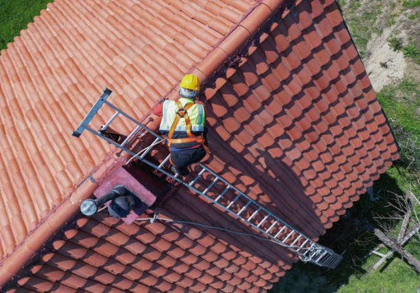 Best Cold Roofs  in Pleasureville, KY