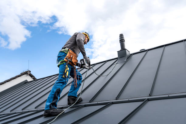 Best Roofing for New Construction  in Pleasureville, KY