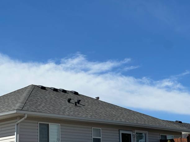 Best Rubber Roofing (EPDM, TPO)  in Pleasureville, KY